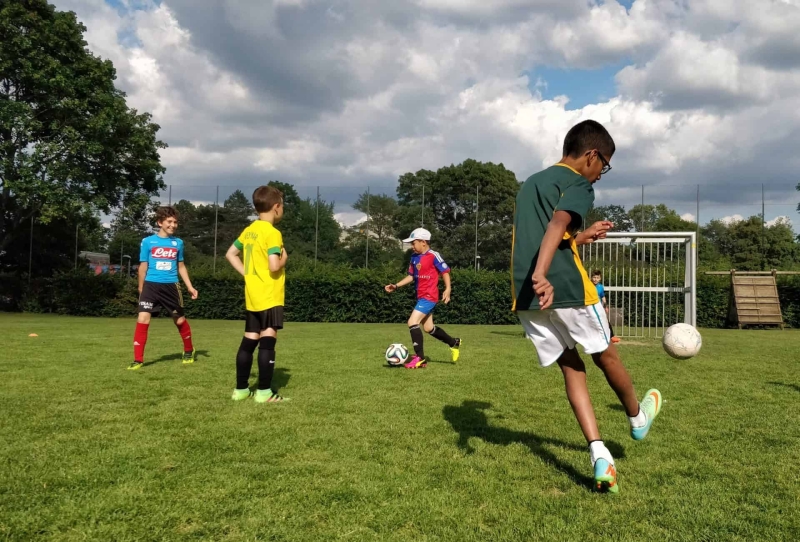 IMG_20180626_181100_01__01