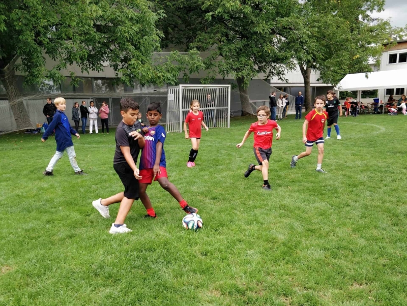 IMG_20180901_150326__01__01