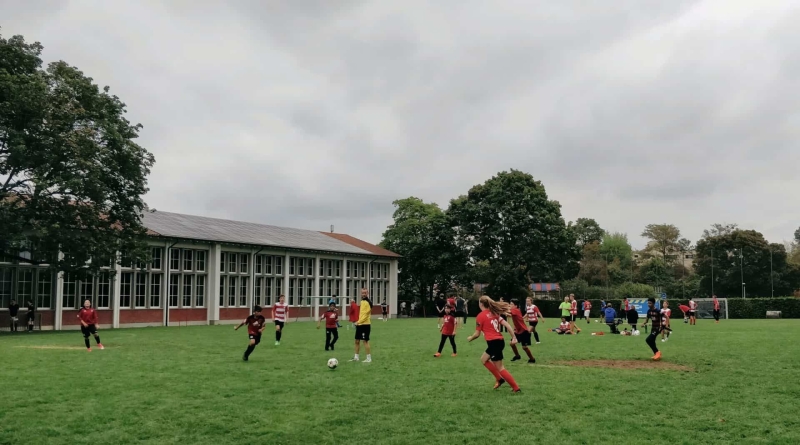 IMG_20180902_133528__01__01