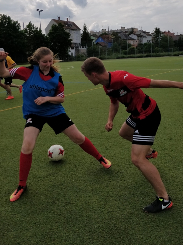 IMG_20190525_160130__01__01