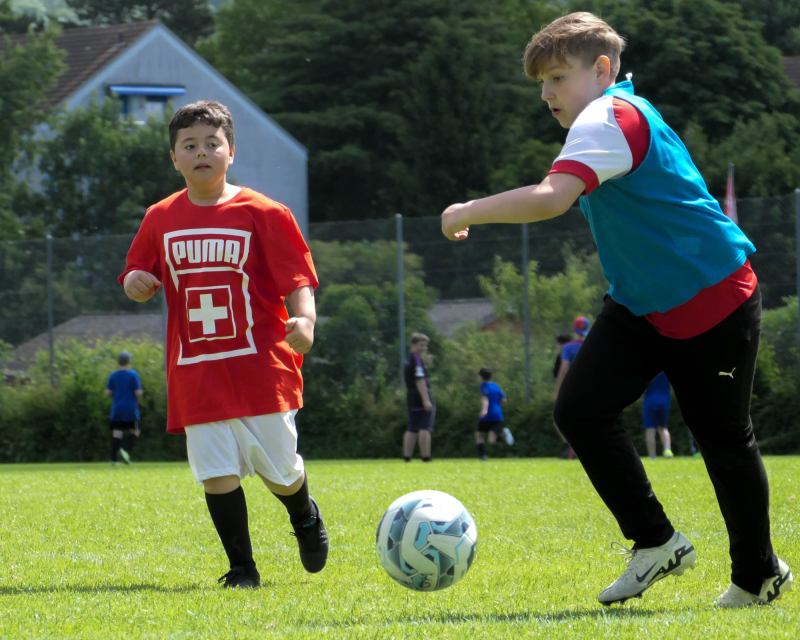 P1340876 bearbeitet1